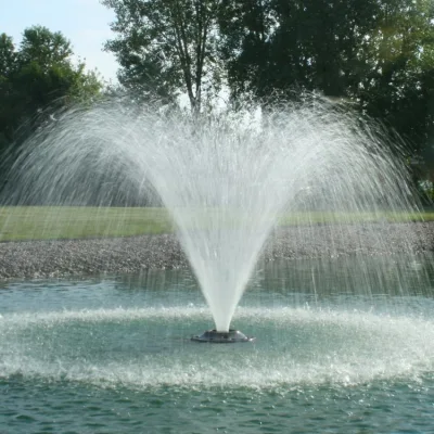 Oferta de fábrica, fuente de baile de agua de jardín grande programada moderna al aire libre